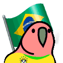 Brazil flag