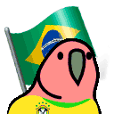 Brazil flag