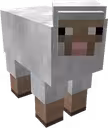 Minecraft Sheep
